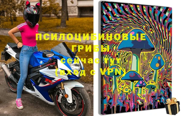 мет Вяземский