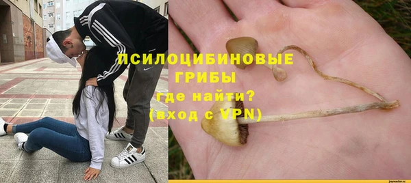 мет Вяземский