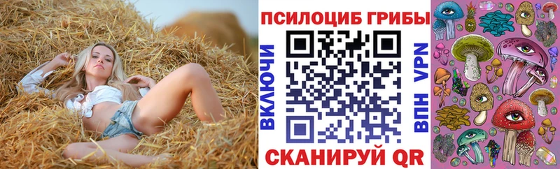 Псилоцибиновые грибы MAGIC MUSHROOMS  Купить где  Осинники 